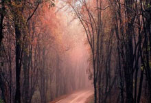 九游娱乐-直布罗陀队实现壮举，迎战欧洲杯预选赛